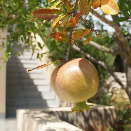 Ka3 וולה לוקה